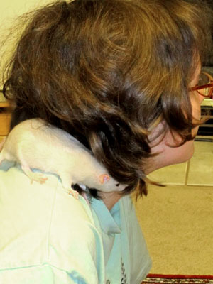 Peregrine and Reeepacheep